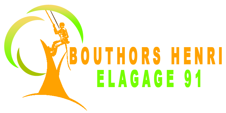 BOUTHORS Henri elagage 91